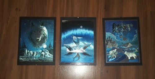 Bilder wolf wal tiere - 3x,
