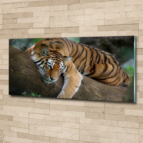 Glas bild wandbilder druck auf - glas-bild,