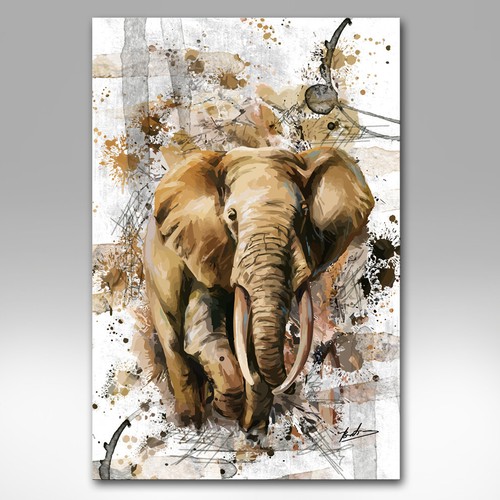 Elefanten tiere natur - elefanten,