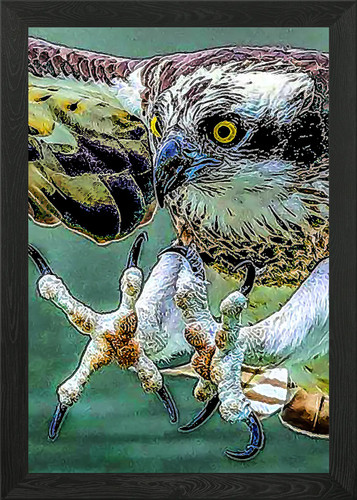Tier gerahmtes wandbild - gerahmtes,