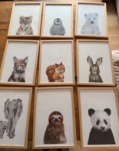 Tierposter set mit rahmen - tierposter,