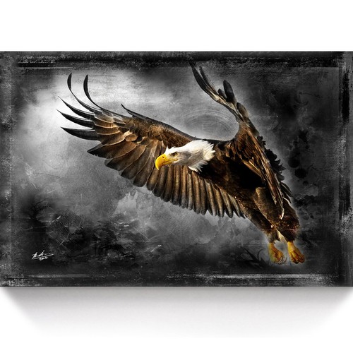 Leinwand bild adler wandbilder - leinwand,