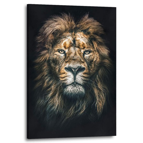 Löwe kopf leinwand bild - löwe,