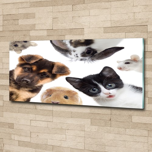Acrylglas bild wandbilder - acrylglas-bild,