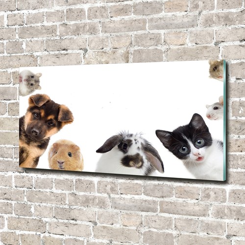Acrylglas bild wandbilder - acrylglas-bild,