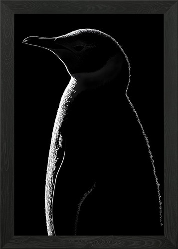 Tier weißer pinguin kunst - weißer,