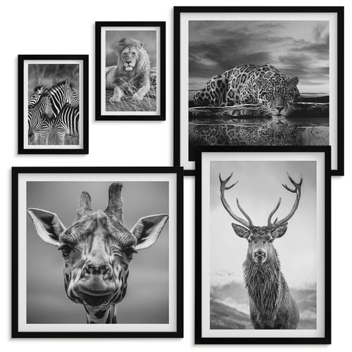 Bilder set rahmen - bilder,