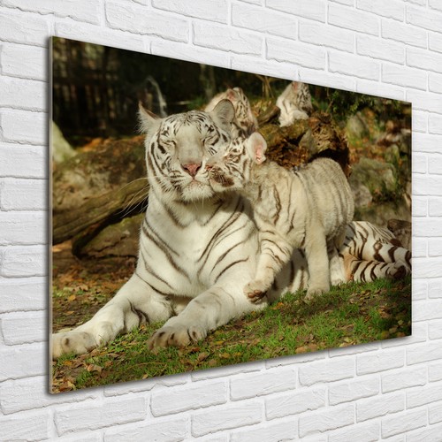 Glas bild wandbilder - wandbilder, druck
