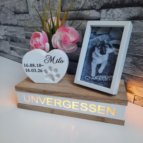Andenken hund katze - hund,