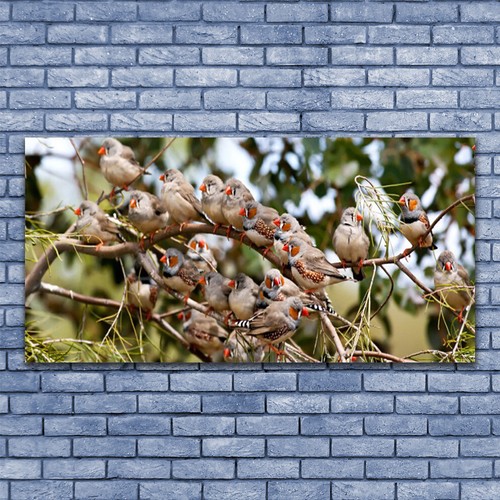 Acrylglasbilder wandbilder - acrylglasbilder,