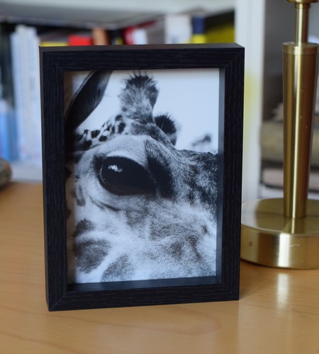 Foto poster giraffe - foto-poster, im