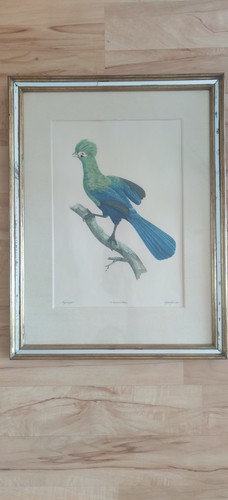 Wunderschöne bilder mit - wunderschöne,