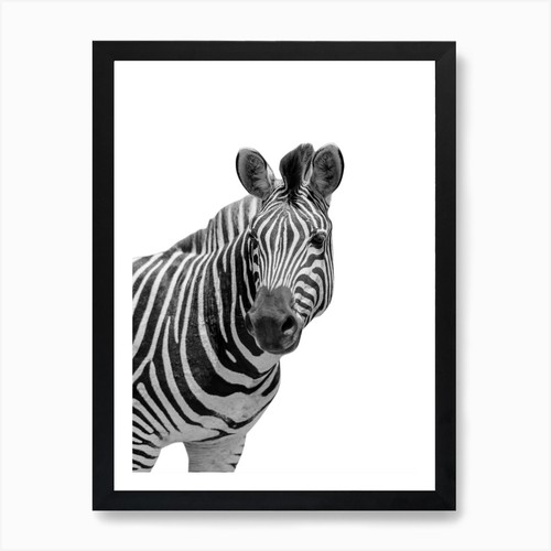 Zebra tier portrait kunstdruck - tier,